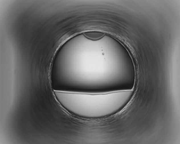 X0000096211529200801180959