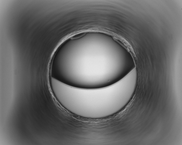 X0000096211530200801180959