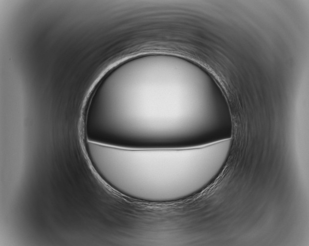 X0000096211531200801180959