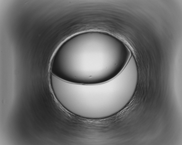 X0000096211532200801180959
