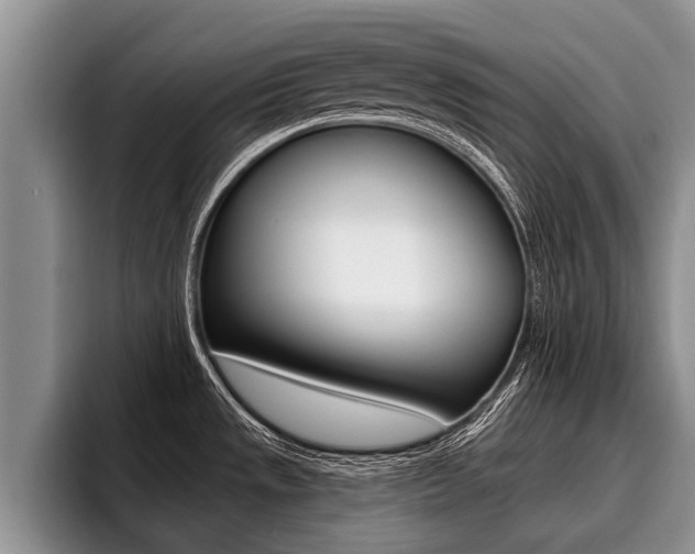 X0000096211533200801180959