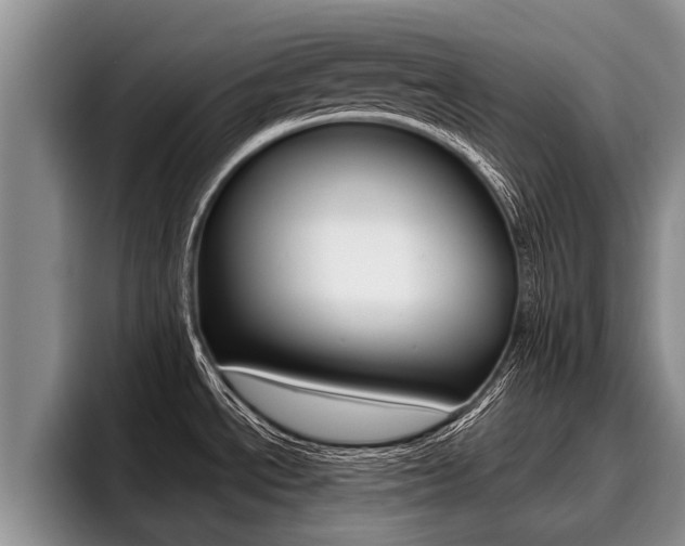 X0000096211534200801180959