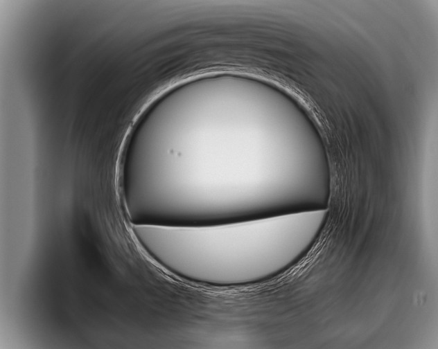 X0000096211535200801180959