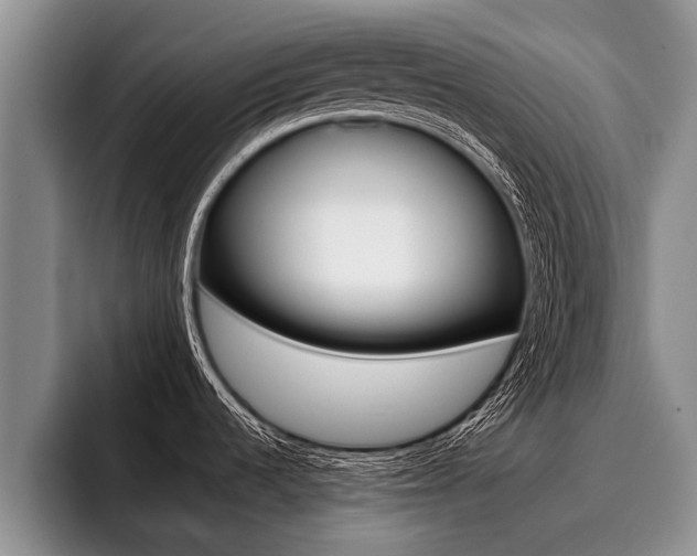 X0000096211536200801180959