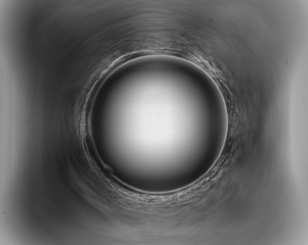 X0000096210002200801181440