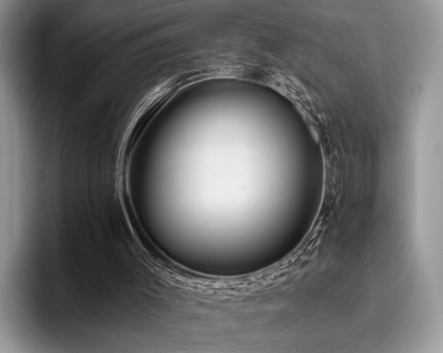 X0000096210003200801181439