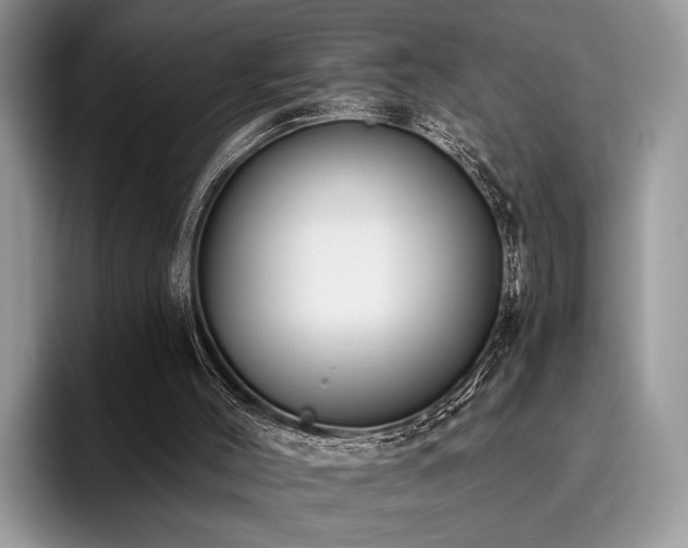 X0000096210004200801181439