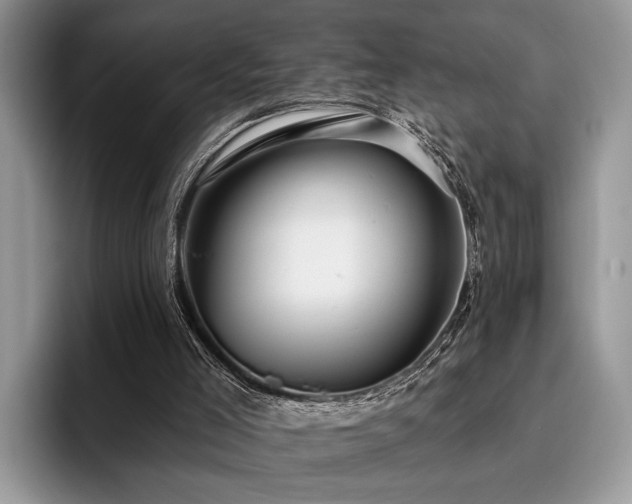 X0000096210005200801181439