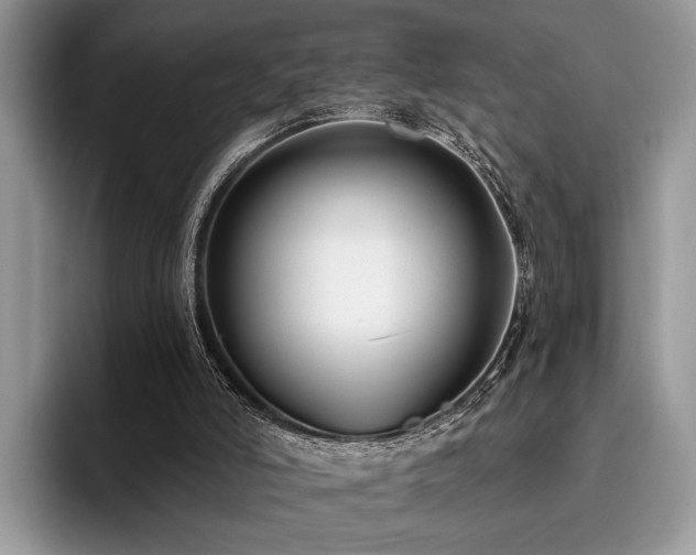 X0000096210006200801181439