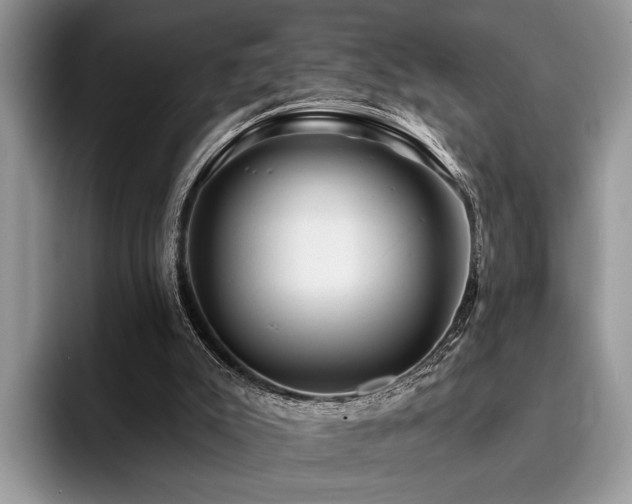 X0000096210007200801181439