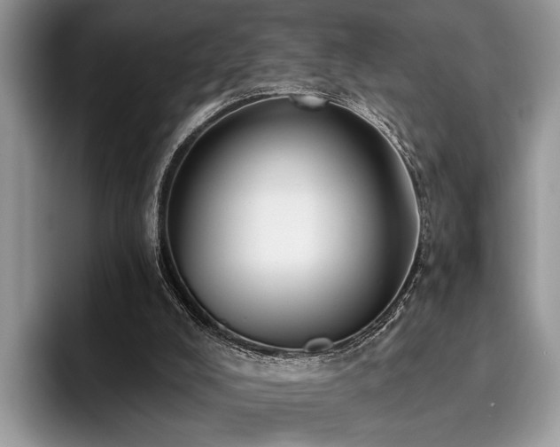 X0000096210008200801181439