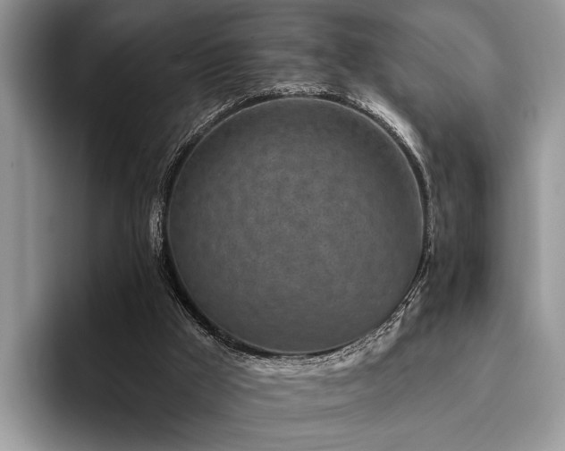 X0000096210009200801181439