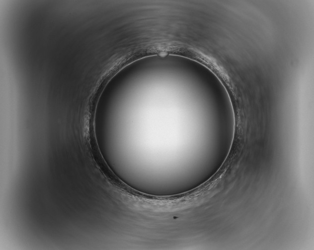 X0000096210010200801181439