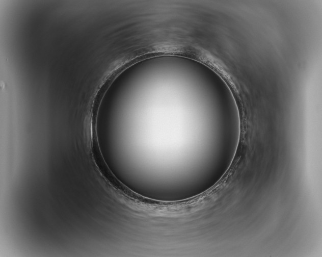 X0000096210011200801181439