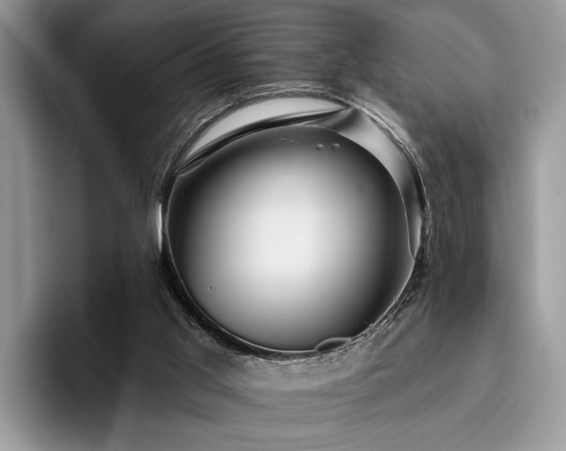 X0000096210013200801181439