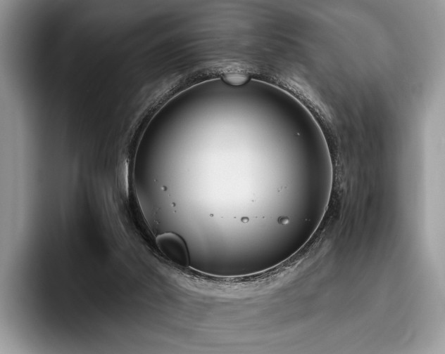 X0000096210014200801181439