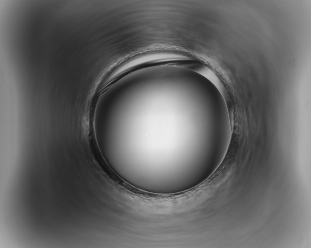 X0000096210015200801181439