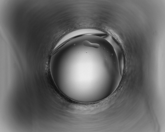 X0000096210017200801181439