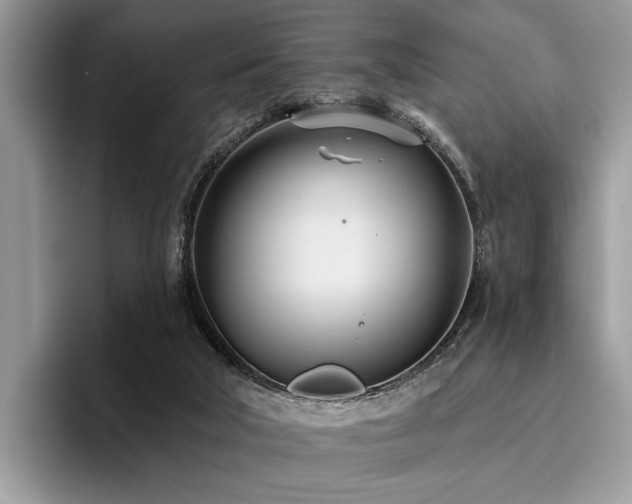 X0000096210018200801181439