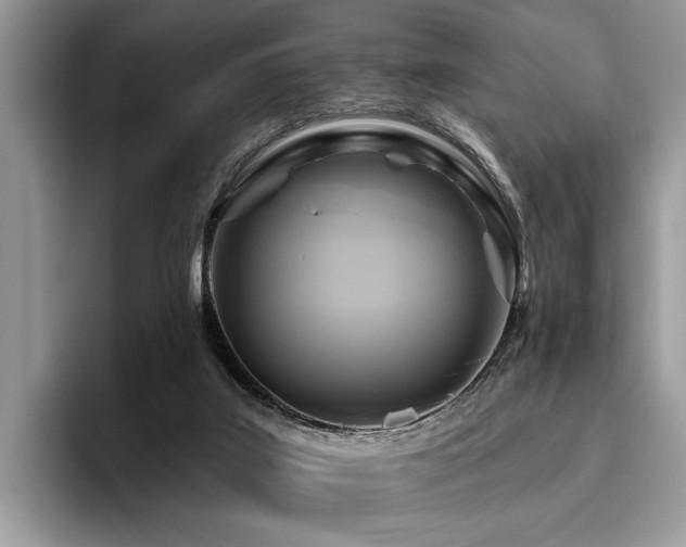 X0000096210019200801181439