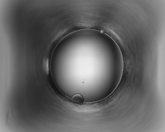 X0000096210020200801181439