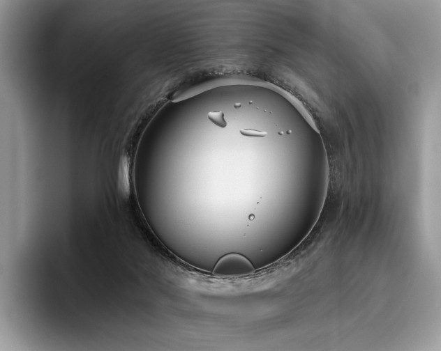 X0000096210022200801181439