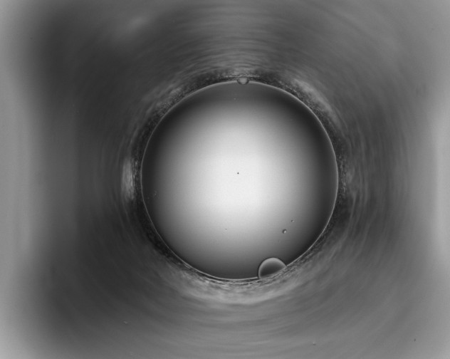 X0000096210026200801181439