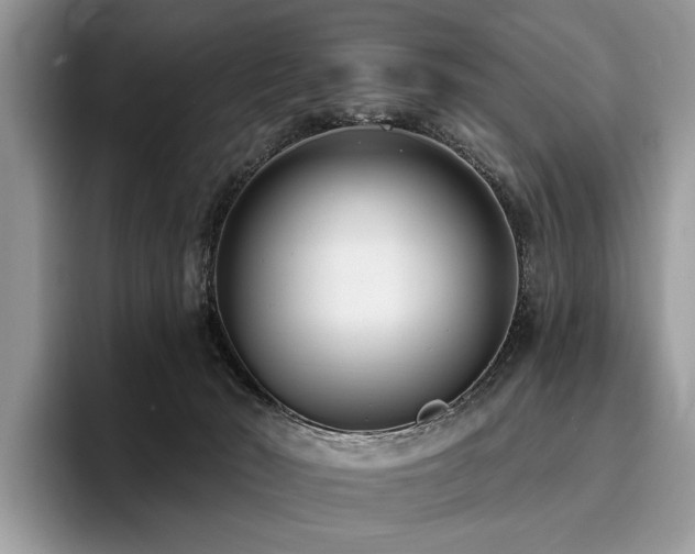 X0000096210030200801181439