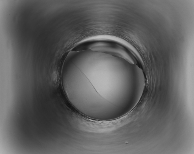 X0000096210031200801181439