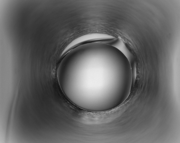 X0000096210033200801181439