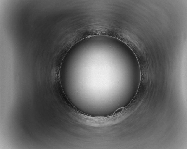 X0000096210034200801181439