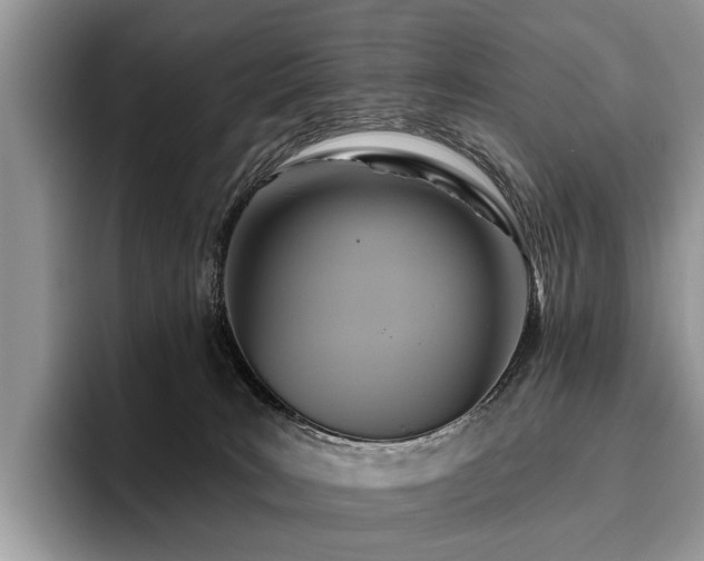 X0000096210035200801181439