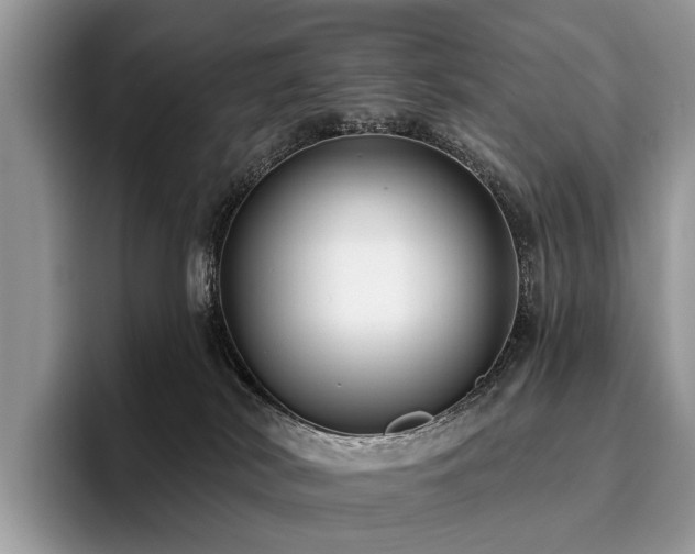 X0000096210038200801181439