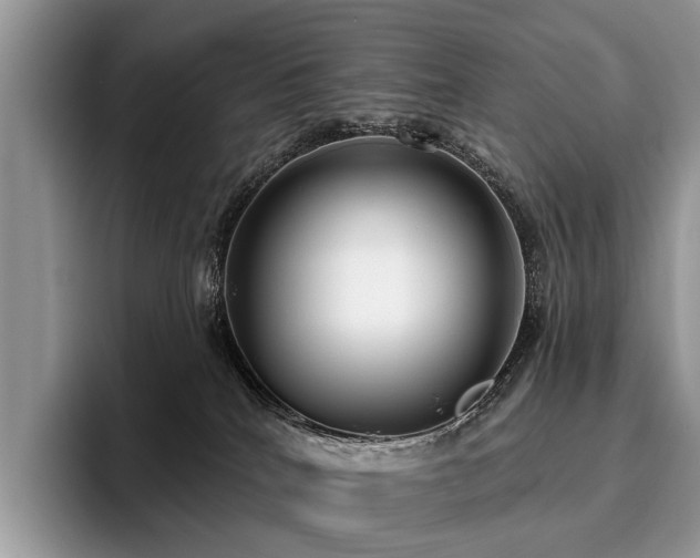 X0000096210040200801181439