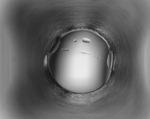 X0000096210041200801181439