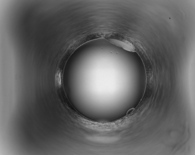 X0000096210042200801181439