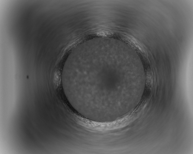 X0000096210043200801181439