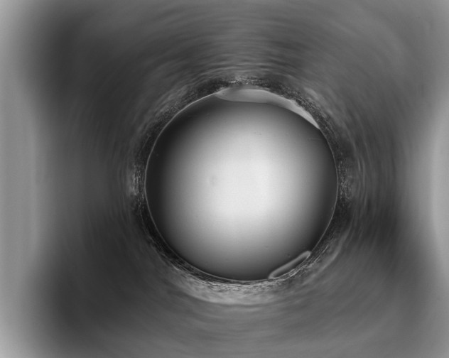 X0000096210044200801181439