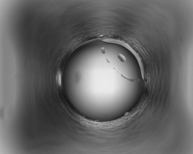 X0000096210046200801181439