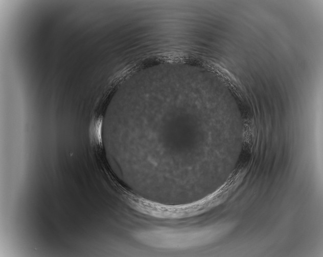 X0000096210047200801181439