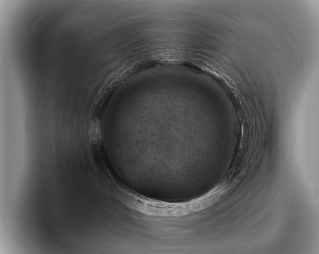 X0000096210048200801181439