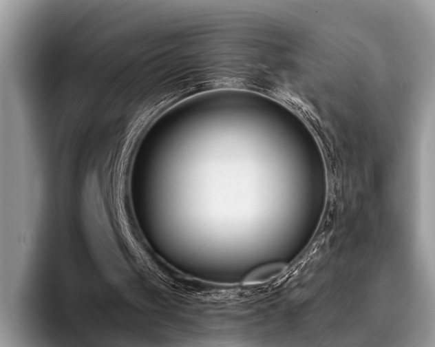 X0000096210049200801181438