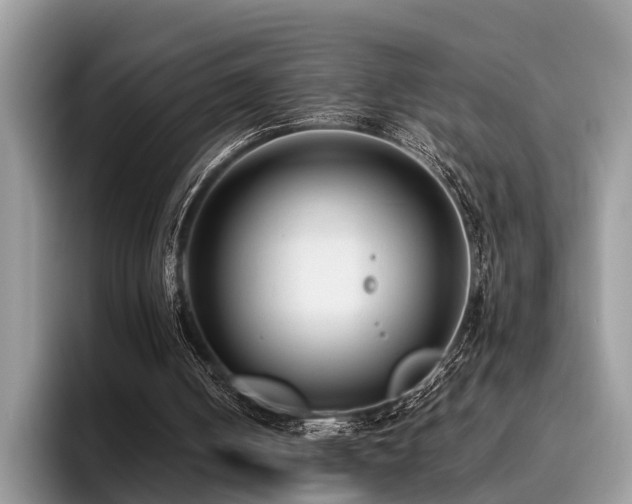 X0000096210050200801181438