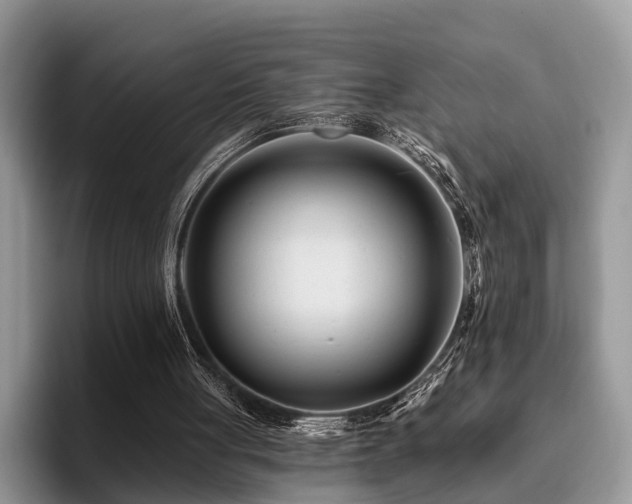 X0000096210051200801181438