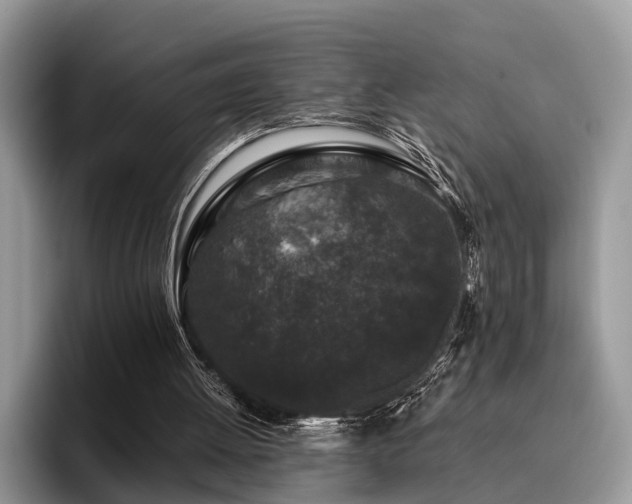 X0000096210052200801181438
