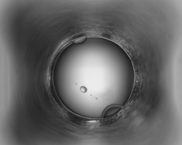 X0000096210053200801181438