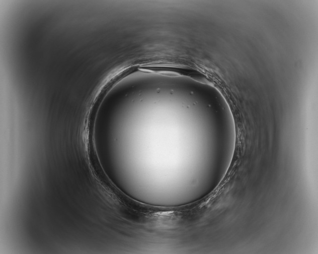 X0000096210054200801181438
