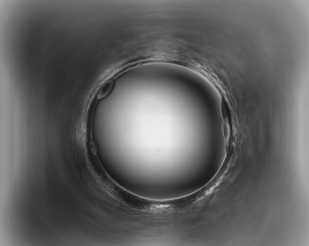 X0000096210055200801181438