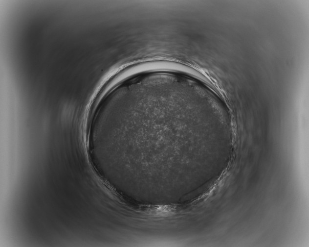 X0000096210056200801181438