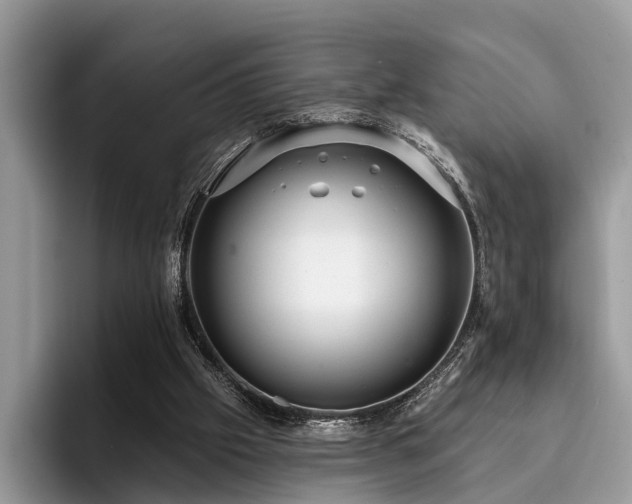 X0000096210057200801181438